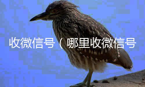 收微信号收购微信号秒结账（哪里收微信号）
